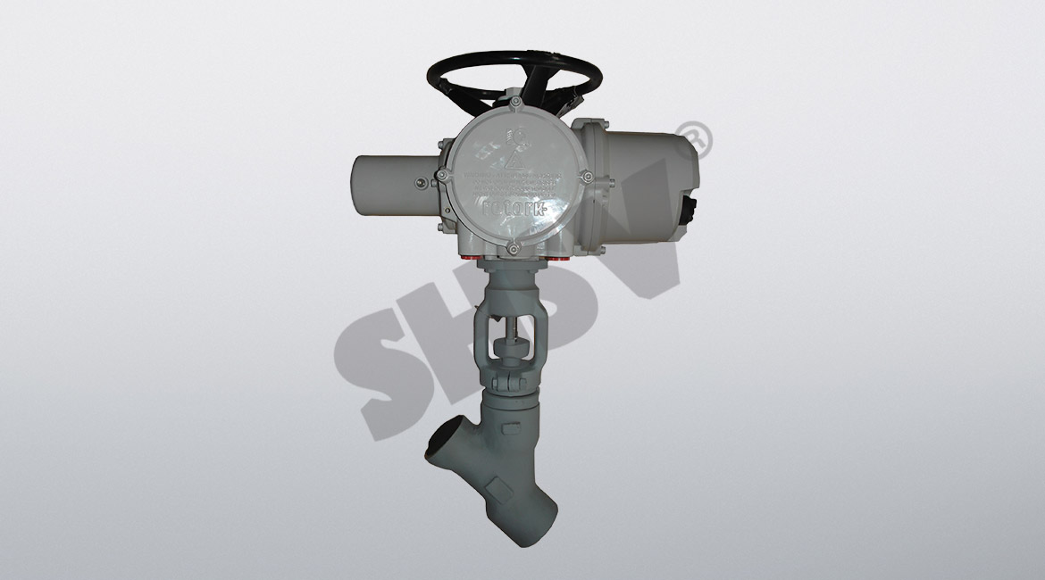 ����Y�ͽ�ֹ�y 